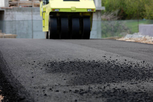 Best Custom Driveway Pavers  in Dilley, TX