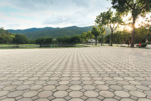 Best Permeable Paver Driveway  in Dilley, TX